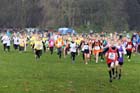 Under-11s start,  2012 McCain Liverpool Cross Challenge.